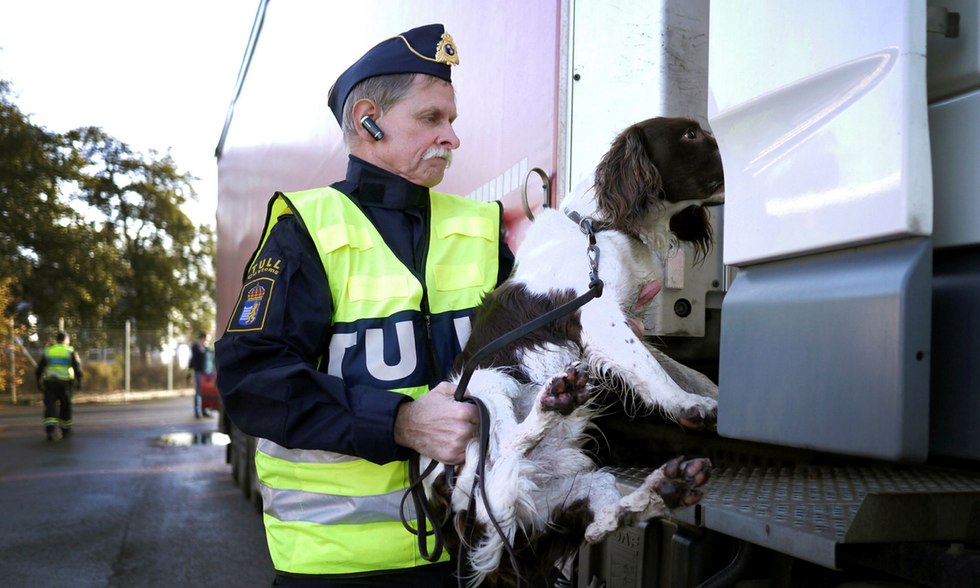 Sticka till jobbet det bästa narkotikahunden Billy vet