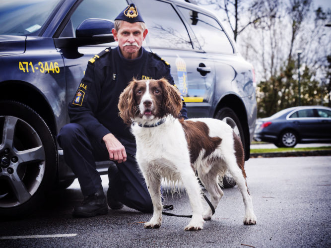 LIONSHUND BLIR PENSIONÄR 